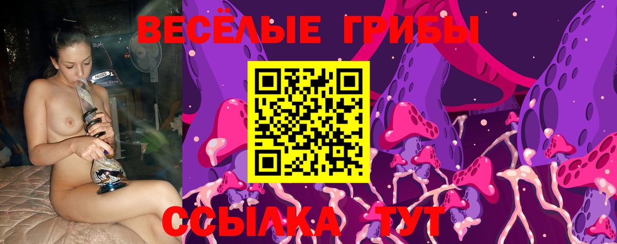 Псилоцибиновые грибы MAGIC MUSHROOMS  Псилоцибиновые грибы мицелий  Вход с VPN  Ахтубинск 